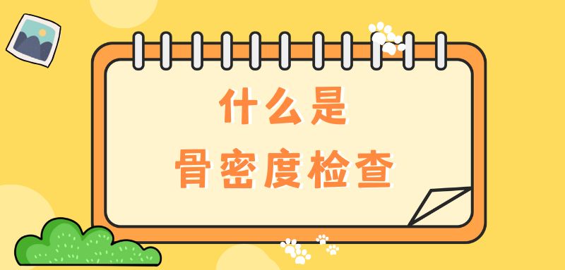 【雙能x線骨密度儀】什么是骨密度檢查？該怎么查？