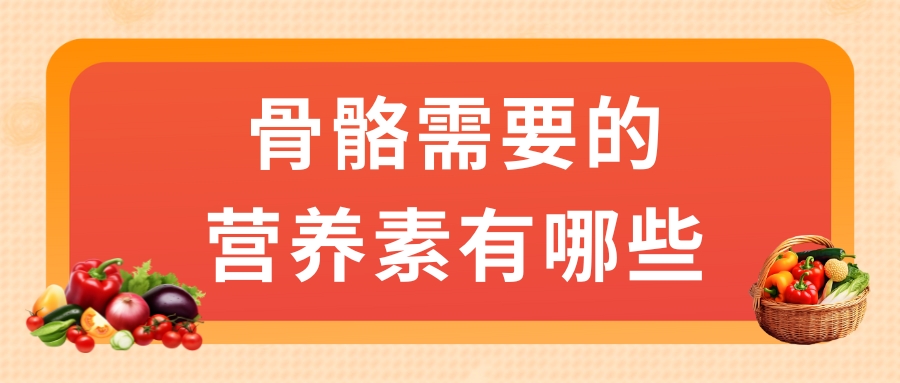 骨骼需要的營養(yǎng)素有哪些？